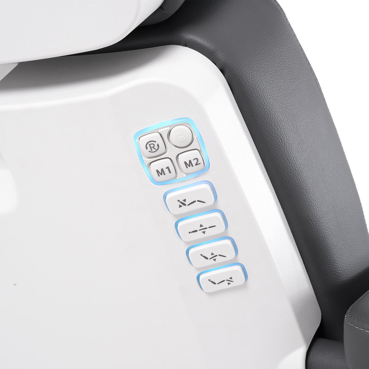 Silver Fox - Facial Bed 2222BN