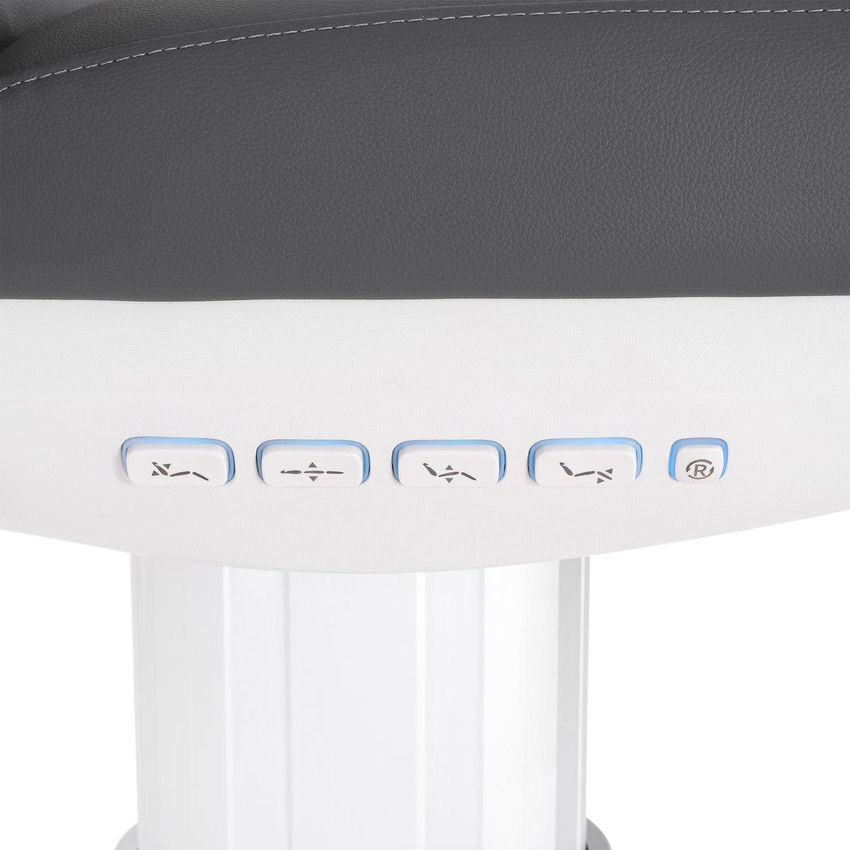 Silver Fox - Facial Bed 2222BN