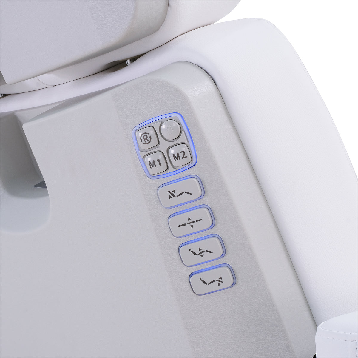 Silver Fox - Facial Bed 2246BN