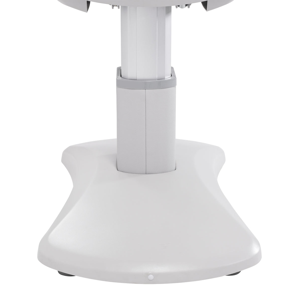 Silver Fox - Facial Bed 2222BN