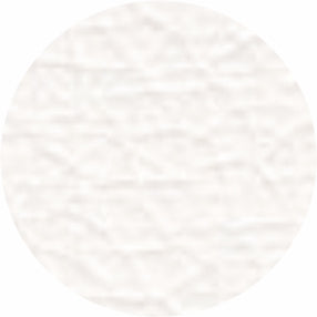 Silver Fox FM-601 product image 2