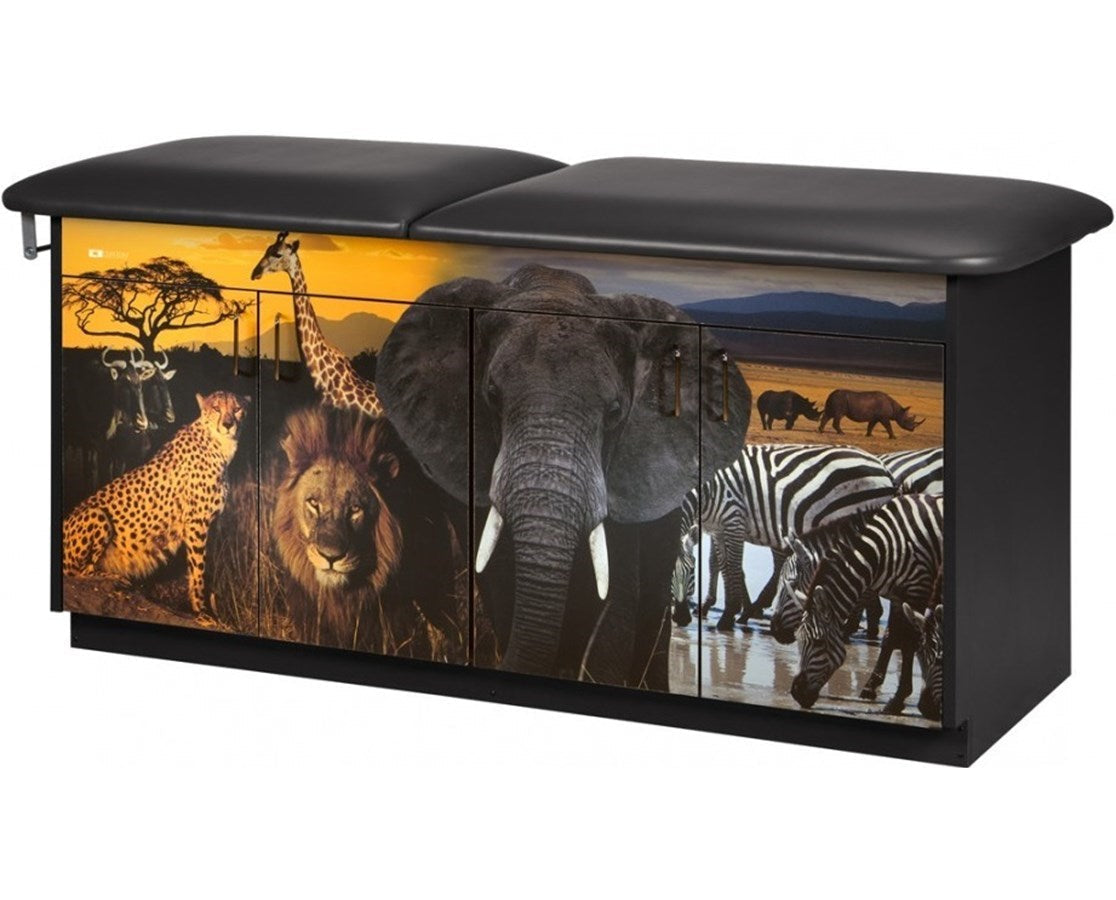 Clinton Industries - 7940 Pediatric Cabinet Treatment Table w/ Adjustable Backrest. Adventure, Safari - product image 1