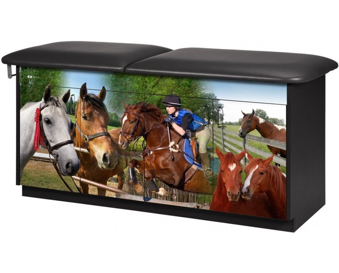 Clinton Industries - 7947 Pediatric Cabinet Treatment Table w/ Adjustable Backrest. Adventure, Equestrian - product image 1
