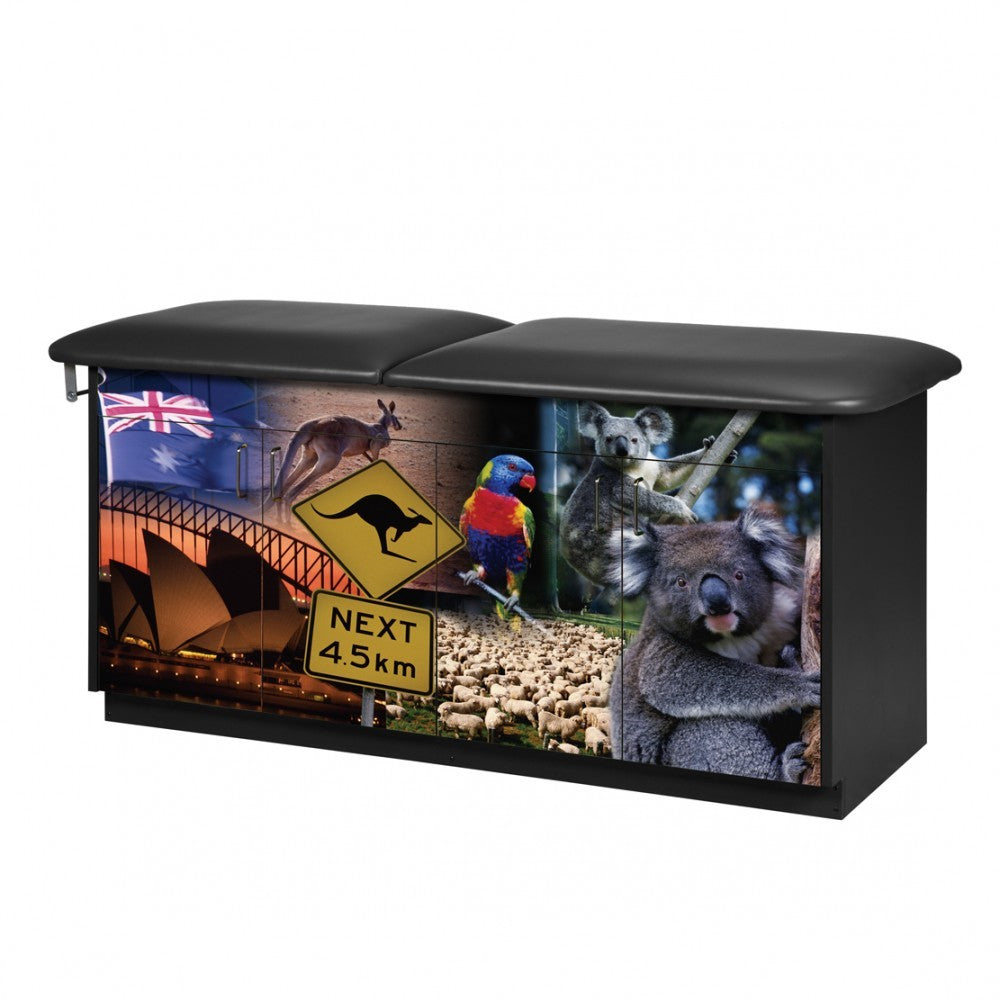 Clinton Industries - 7942 Pediatric Cabinet Treatment Table w/ Adjustable Backrest. Adventure, Down Under - Clinton Industries product image