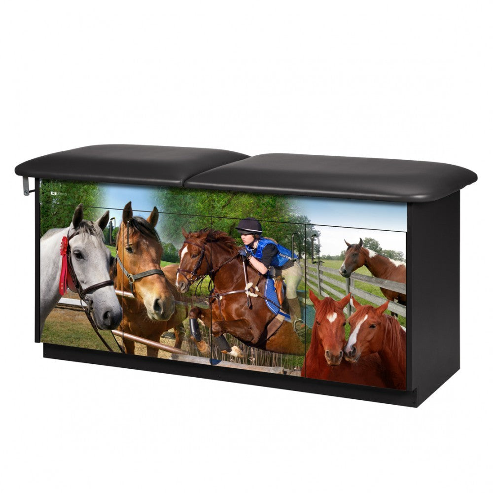 Clinton Industries - 7947-1 Pediatric Cabinet Treatment Table, Flat Top, Adventure. Equestrian - Clinton Industries product image