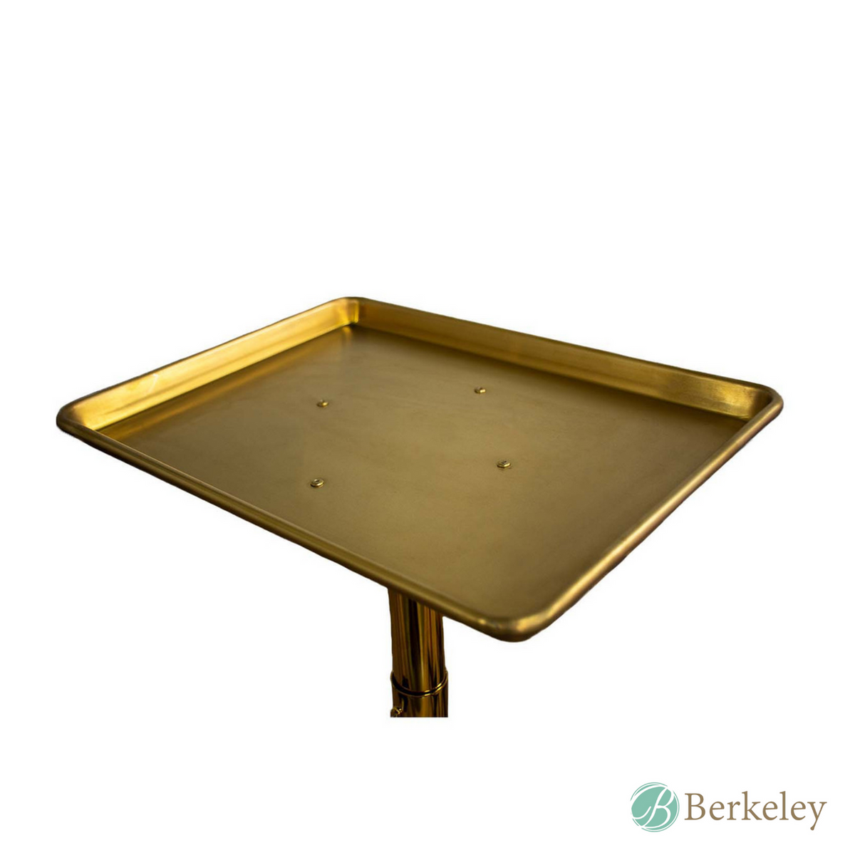 TRELAVI Rolling Tray - view 7