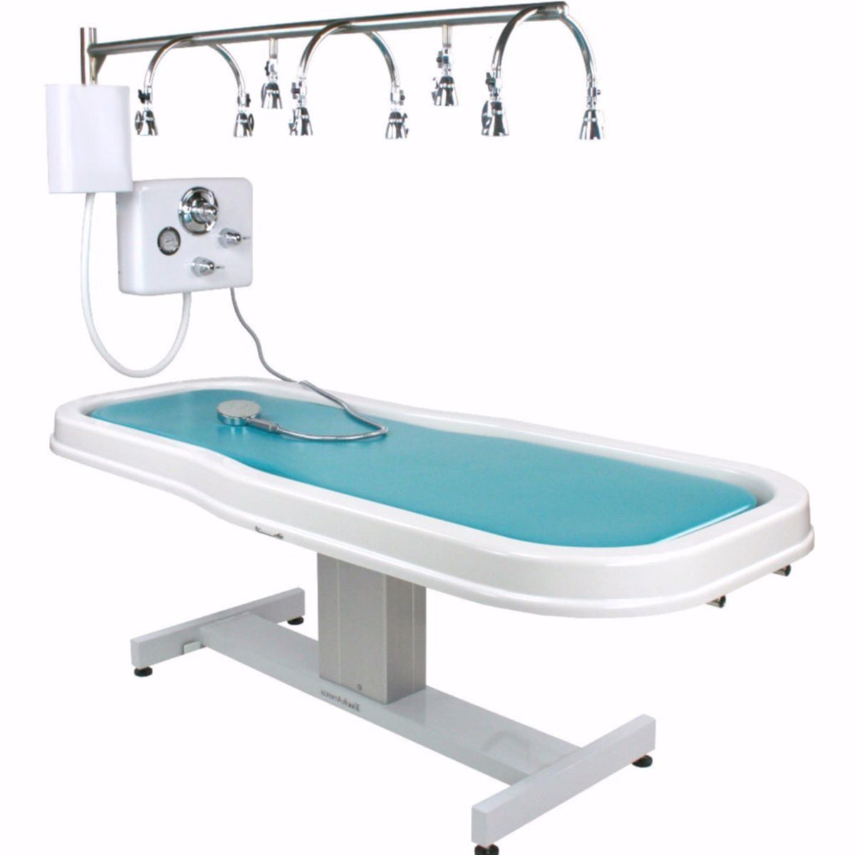 Neptune Battery/Vichy Shower Package by Touch America