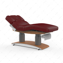 Silver Fox - Treatment Table 2259