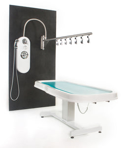 Water Werks - Ditto Vichy Hydrotherapy Shower - Superb Massage Tables